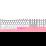 Apple Keyboard with Numeric Keypad